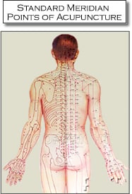 standard meridian points in acupuncture