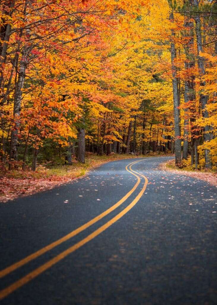 Trees changing colors during the fall (autumn)