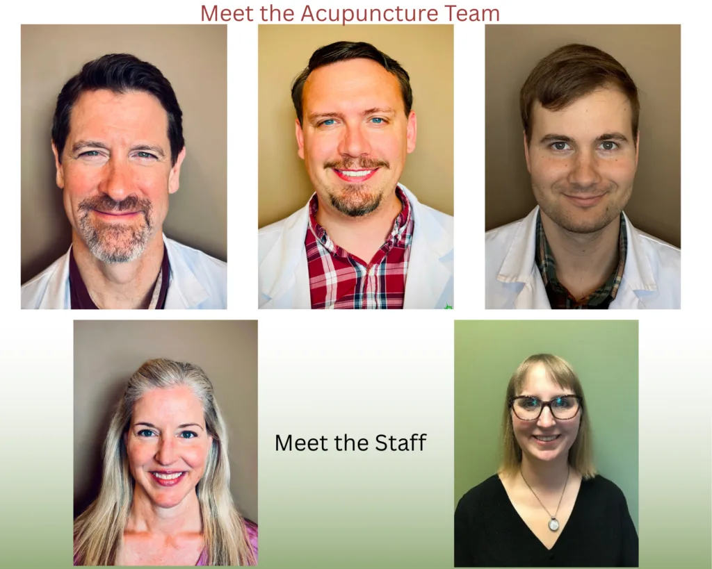 A photo showing the portraits of all the staff. Including April, Melissa, Curry, Philip and Brady.