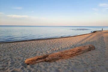 a log on a beach